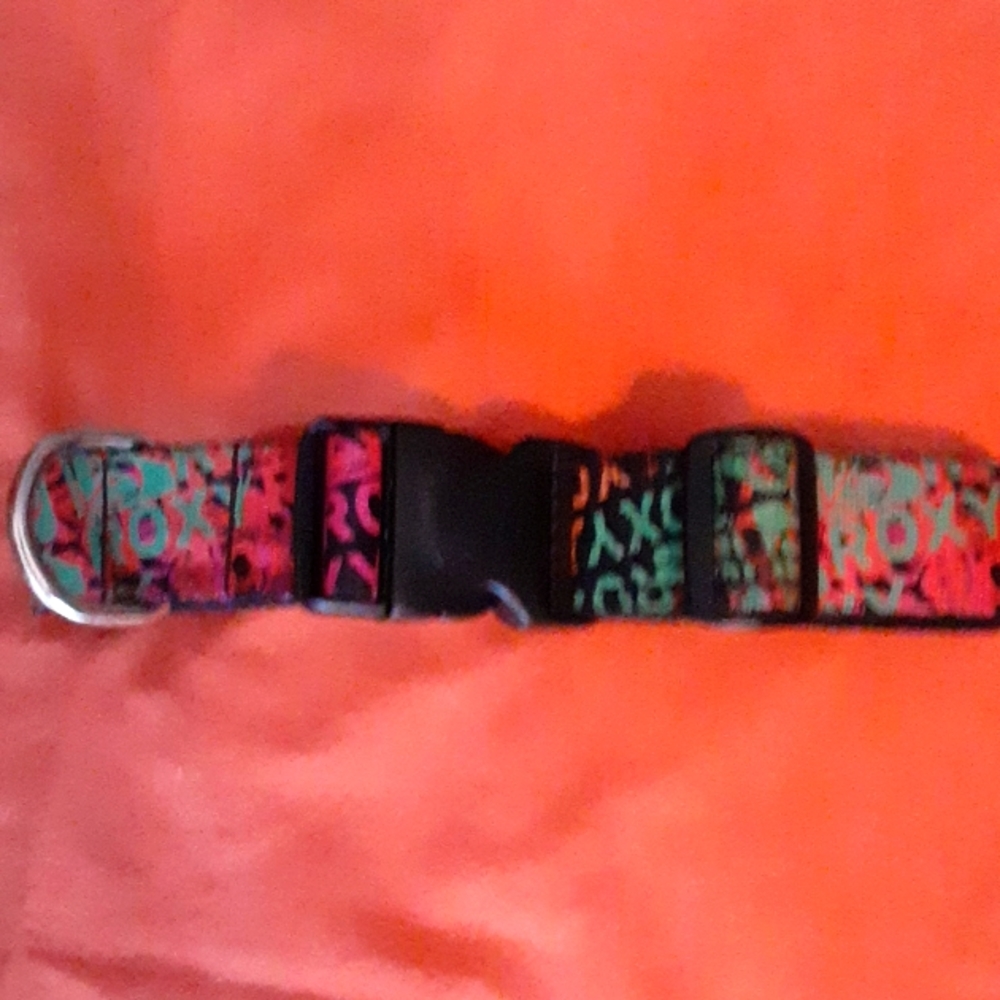 Roxy Dog Collar 1 of a Kind